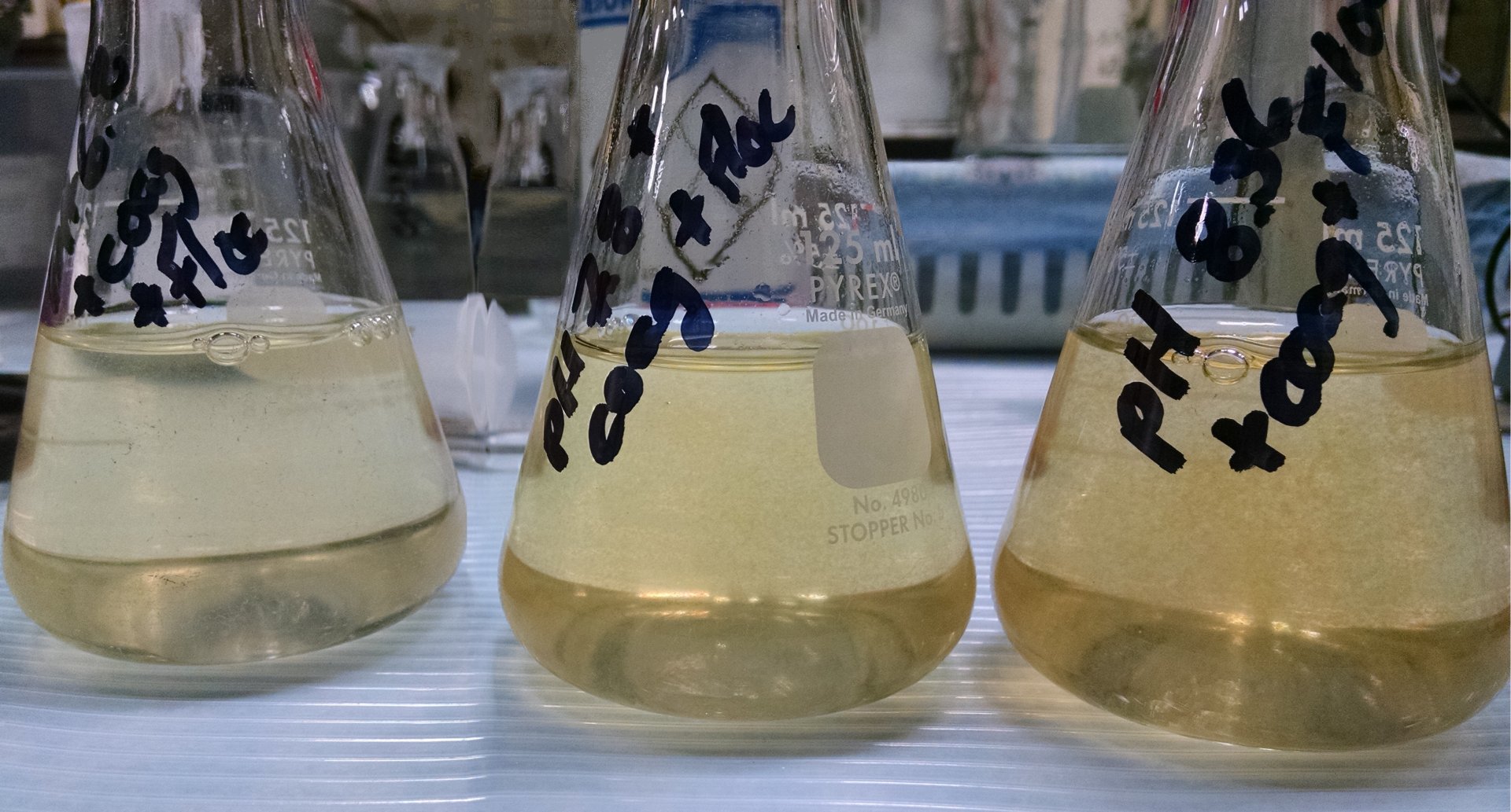 Wastewater   	Reduction 	Recycling 	Filtration 	Sludge Separation   Learn More 